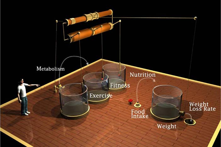 A steampunk obesity machine isomorphic to Figure 2