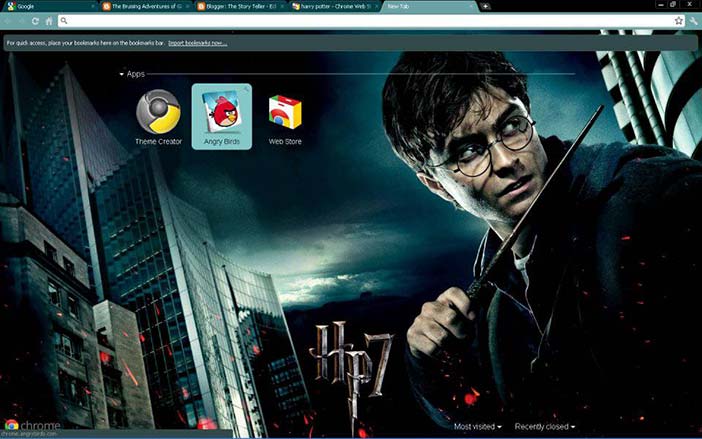 Aesthetics as an extension of the Self: Harry Potter skin for the Google Chrome browser