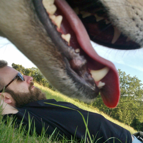 Profile image for Bartek Dzudzewicz