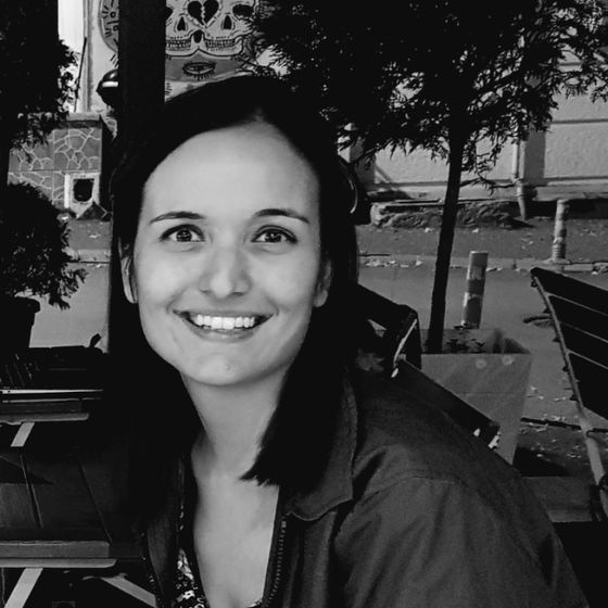 Profile image for Idil Kandil