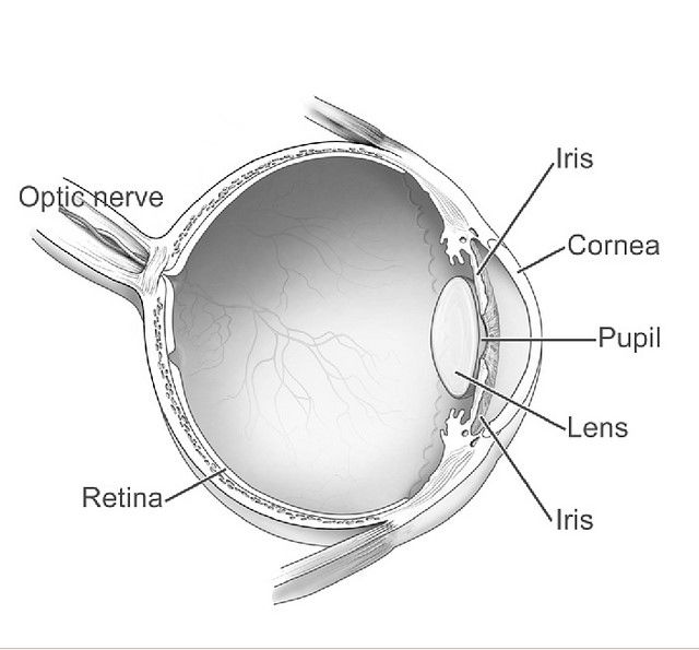 What Is Visual Perception Interaction Design Foundation - 