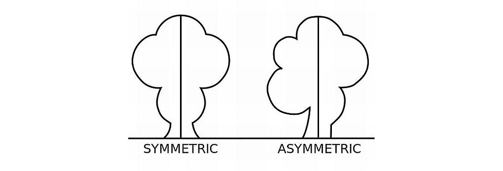 Symetrie a asimetrie v designu