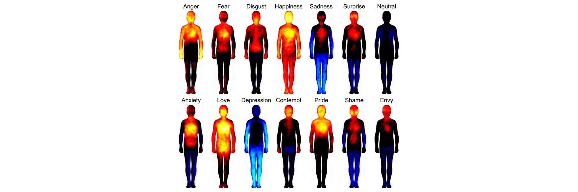 The Three Schools of Thought Governing Emotion in Technology