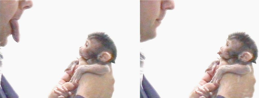 Sympathetic Bonding and Why It’s Useful in Design