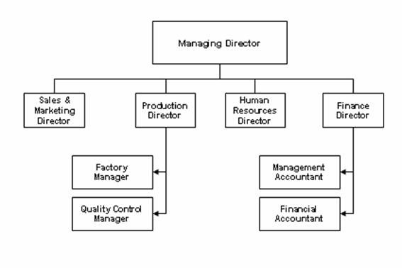 Ux Org Chart