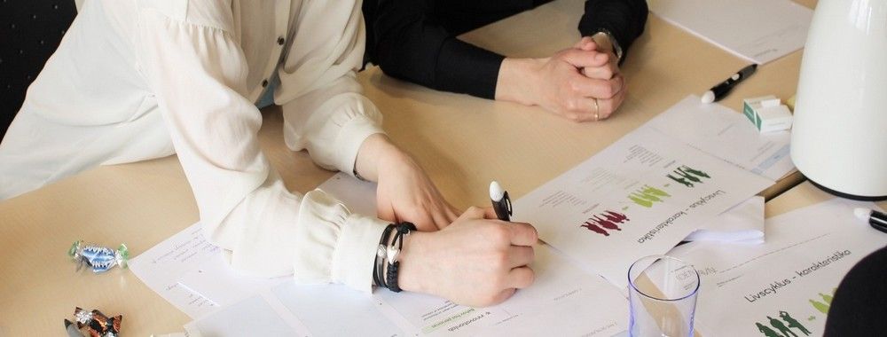 Workshops to Establish Empathy and Understanding from User Research Results